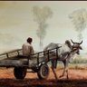 Raaj Singh🌾🐄🚜 profil fotoğrafı