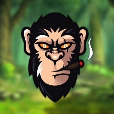 bitcoinape_'s profile picture