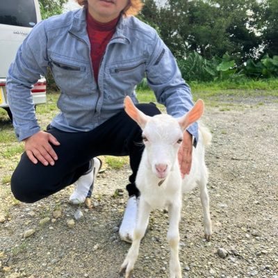 Makoto♪ MGP（やぎファーストな人）'s profile picture