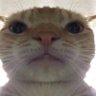 Balawgi's profile picture