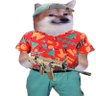 Taco's profile picture
