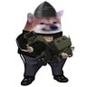 Фото профиля Fala Fellavili 🇫🇮🇺🇦🇮🇱🇪🇺🇬🇪🏴☠️