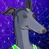 Cyberian's profile picture