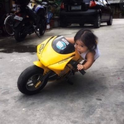 camélia's profile picture