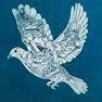 ⚓Sign of Jonah-Yunis🕊️BeNTriBe 的头像