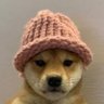 rue's profile picture