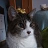 Profilbild von Isma T.M.