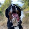 Ralf profil fotoğrafı