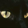 Profilbild von DOOM-DUTDA-DA🎵DOOM-DUT-DA-DA♫🌝🥁💛🪐🖐🏾🐻🤚🏾