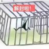 Run Forfree 的头像