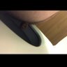 PooPeeeDooo profil fotoğrafı