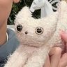 ねこちゃん profil fotoğrafı
