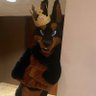 Profilbild von Ruger Doberman