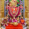 Фото профиля Suresh Puri