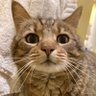 Profilbild von POCHA