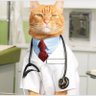 Dr Fofitos's profile picture