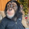prostychลopak's profile picture