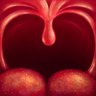 Фото профиля #NAFO Male♂️ Uvula Owner Gender Critical 🇺🇦✡️