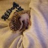ᯓ✦José ✧ BUSY, being a disappointment ;-; 的头像