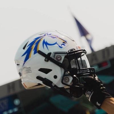 WNMUFootball's profile picture