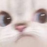 猪噜噜 profil fotoğrafı
