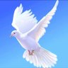 WAZOBIA. profil fotoğrafı