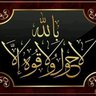 طاهر شرعبي's profile picture