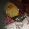 Profilbild von Sarah