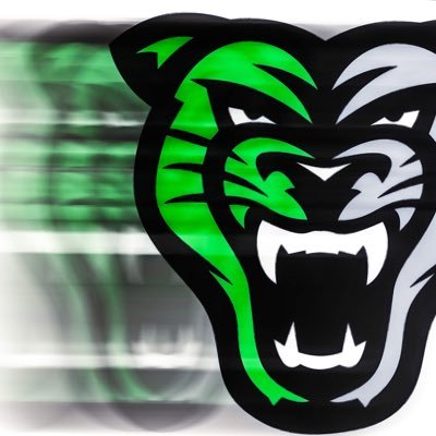 DerbyPanther's profile picture
