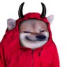 Profilbild von LuciFella
