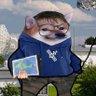 Profilbild von Tracer