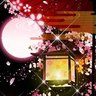 hana 的头像