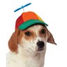 Фото профиля Cachorro com boné de hélice