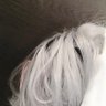 ༄K's profile picture