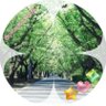 🍀ココ彩(さや)。🚢🪶's profile picture