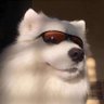 Profilbild von 老兄