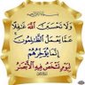 Mostafa Bk's profile picture