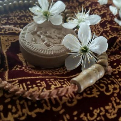 2Sharifeh's profile picture