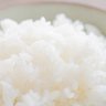 早寝早起き朝ごはん's profile picture