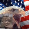 Kay from Texas's profile picture