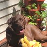 Gumper profil fotoğrafı
