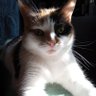 Людмила Корытина's profile picture
