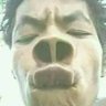 YOUYOU's profile picture