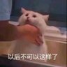 bbzb's profile picture