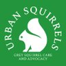 Urban Squirrels, wildlife rescue, animal ethics. profil fotoğrafı