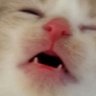 Keppy's profile picture