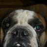 Profilbild von Jean Pierre R.G