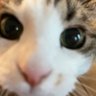Profilbild von maddie!