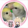 はなまめ 的头像