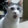 dont worry ๐'s profile picture